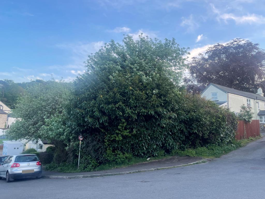 Lot: 52 - FREEHOLD LAND - External photo of overgrown land